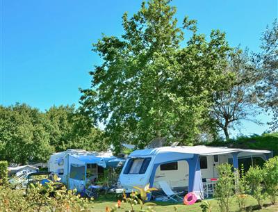 shaded pitches Camping La Roseraie La Baule