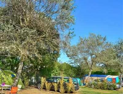 camping pitches Camping La Roseraie La Baule 44 Loire Atlantique 