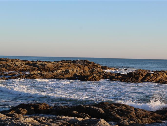 wild coast landscape